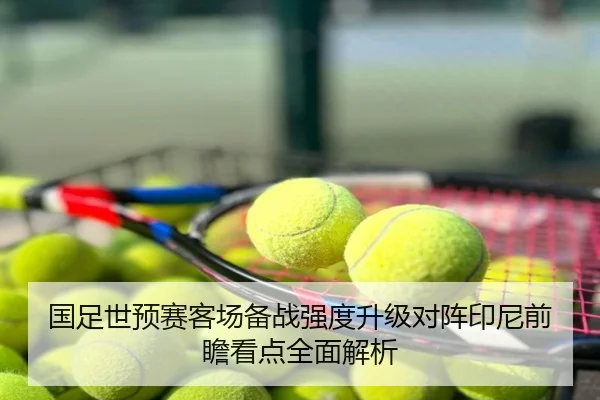国足世预赛客场备战强度升级对阵印尼前瞻看点全面解析