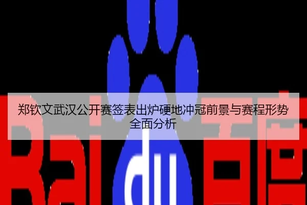 郑钦文武汉公开赛签表出炉硬地冲冠前景与赛程形势全面分析